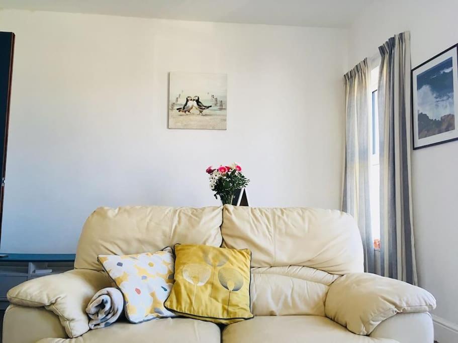 Hillcrest Cottage, Comfy Flat, Trendy Uplands Area Swansea Exteriér fotografie