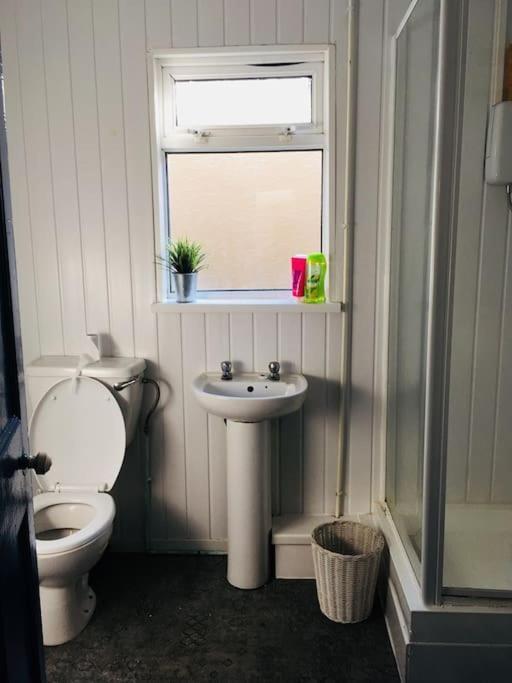Hillcrest Cottage, Comfy Flat, Trendy Uplands Area Swansea Exteriér fotografie